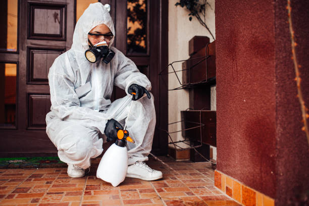 Reliable Ant Control contractor in Port Arthur, TX by Show Me Pest Control